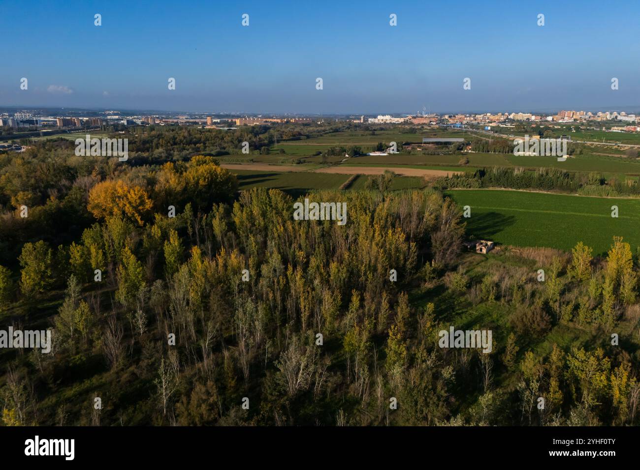 Aerial view of an area of trees Stock Photo - Alamy