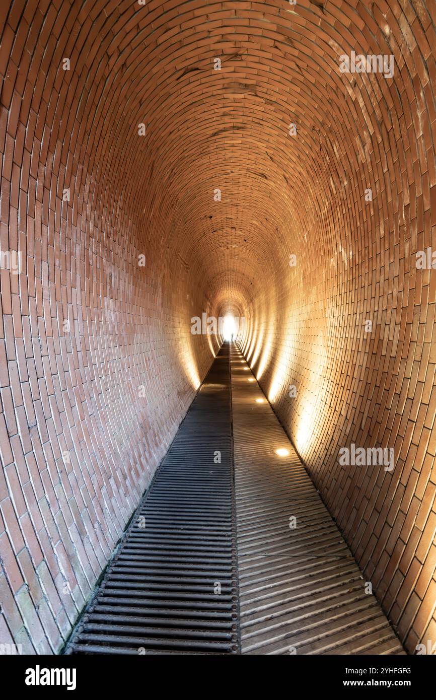 Visitors walk through a tunnel illuminated by colorful lights
