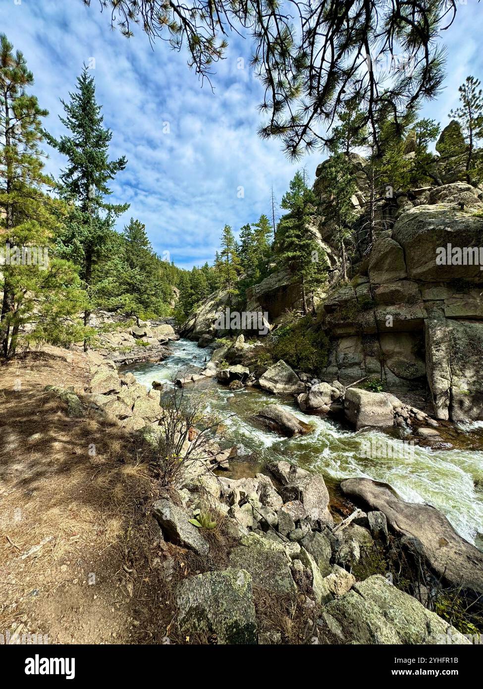 Autumn in Colorado - Smartphone Captured Stock Image Autumn in Colorado - Smartphone Captured Stock Image