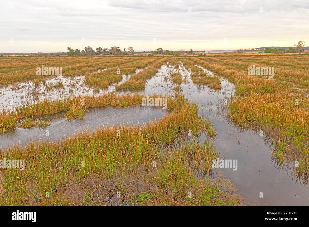 Former Rice Plantation That is Now a Wildlife Refuge at the Santee ...