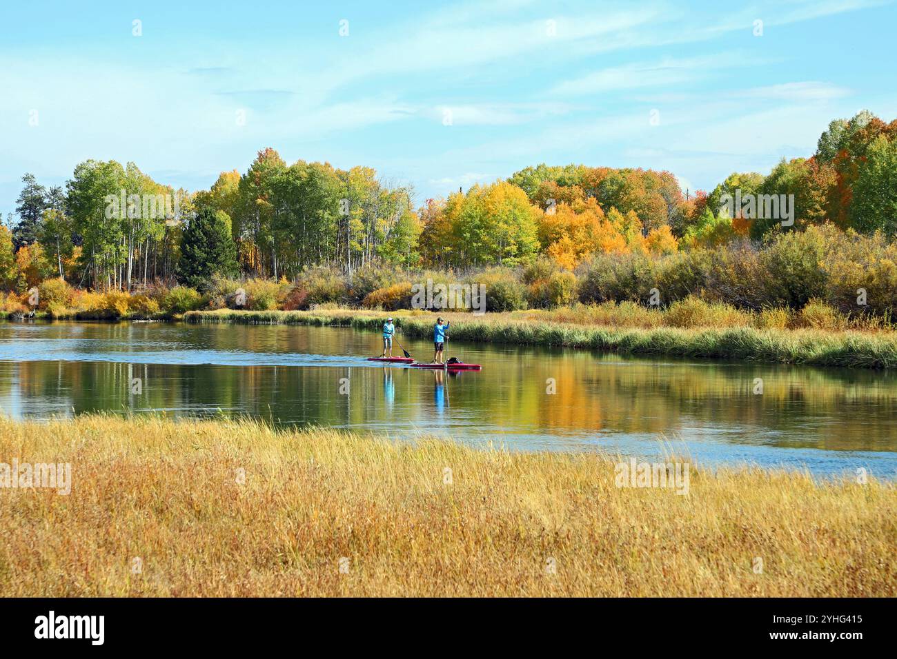 People on stand up paddleboards float down the Deschutes River near Bend, Oregon, as the aspen trees along the river begin to turn gold in October. Stock Photo