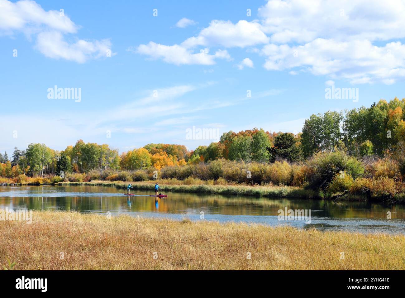 People on stand up paddleboards float down the Deschutes River near Bend, Oregon, as the aspen trees along the river begin to turn gold in October. Stock Photo