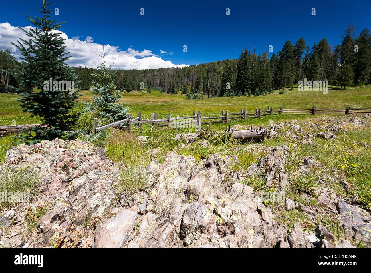 Pinedale Ranger Station photo 2