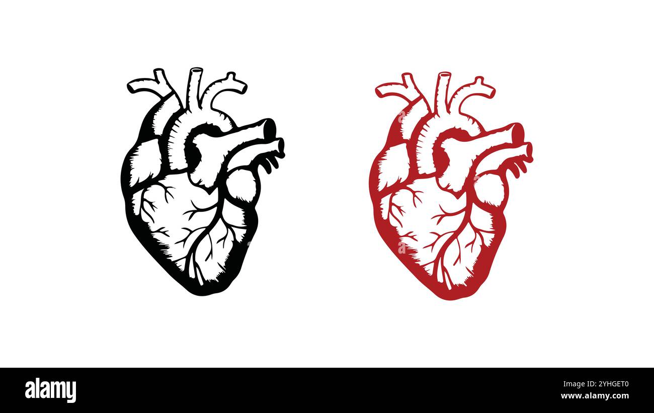 Creative Vector Heart Designs for Your Projects Stock Vector Image ...