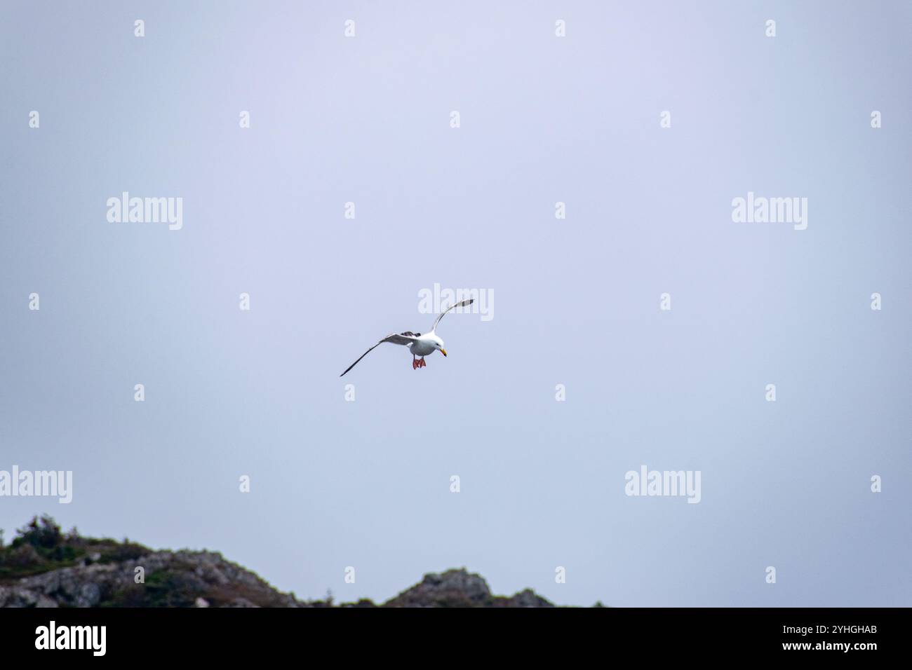 Angled approach hi-res stock photography and images - Alamy