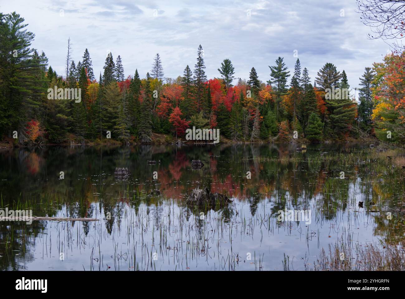 Tea lake dam hi-res stock photography and images - Alamy