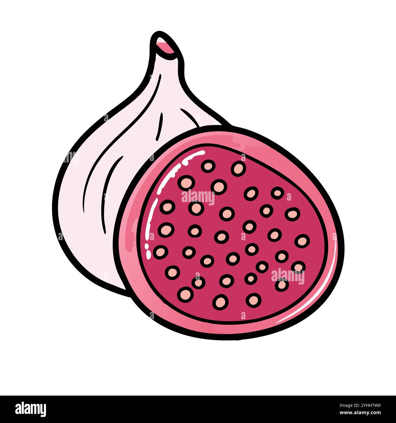 simple vector illustration of a fig, in a simple and clean style ...