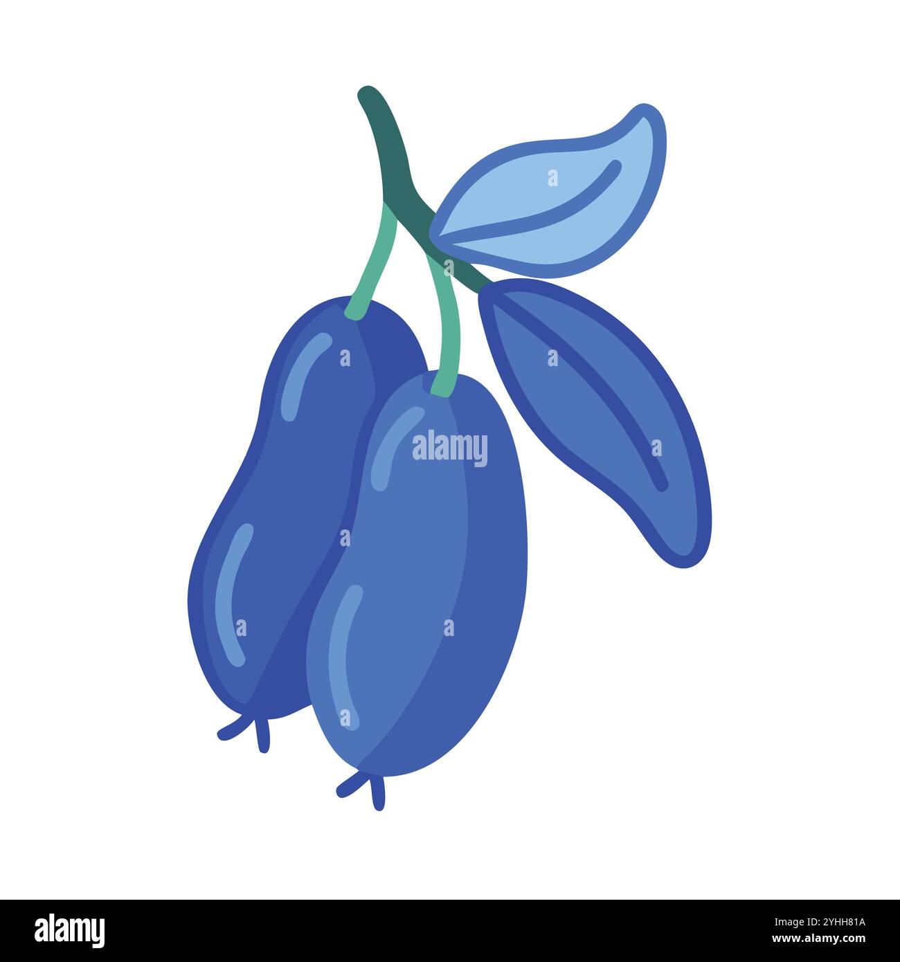 simple-vector-illustration-of-a-fruit-blue-honeysuckle-in-a-simple-and
