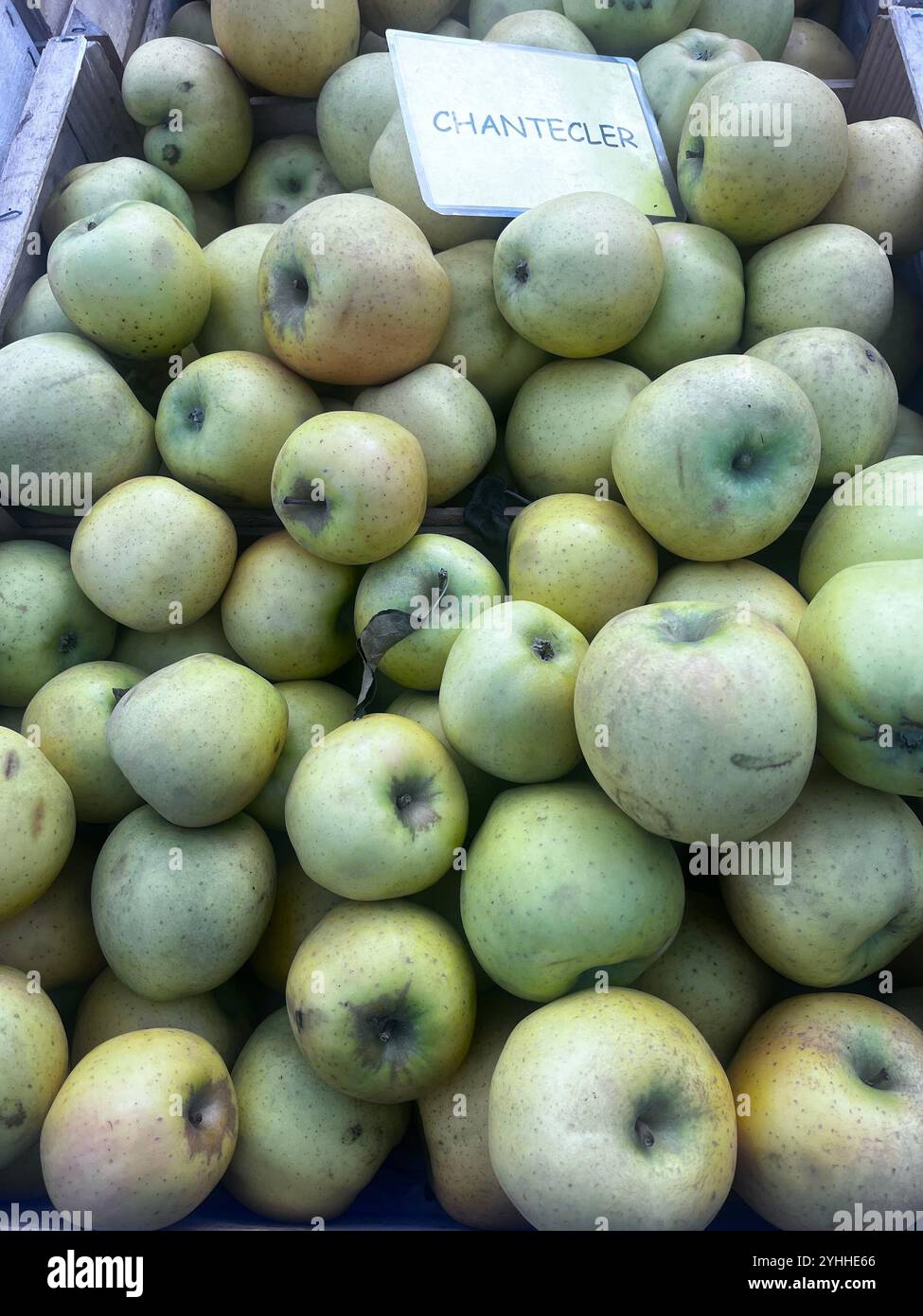 Saturday Market - Smartphone Captured Stock Image