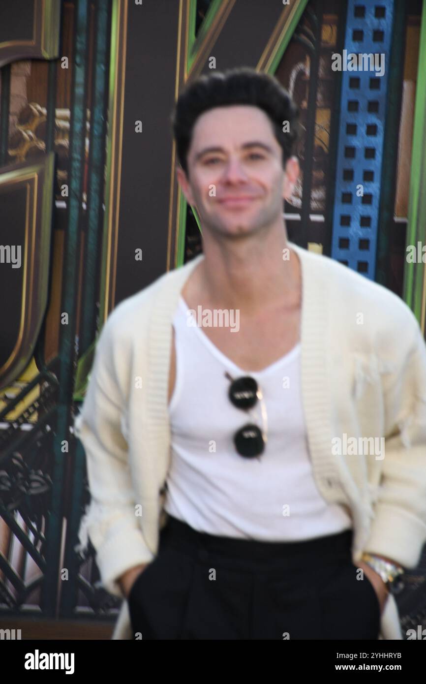Los Angeles, California, USA 9th November 2024 Dancer Sasha Farber