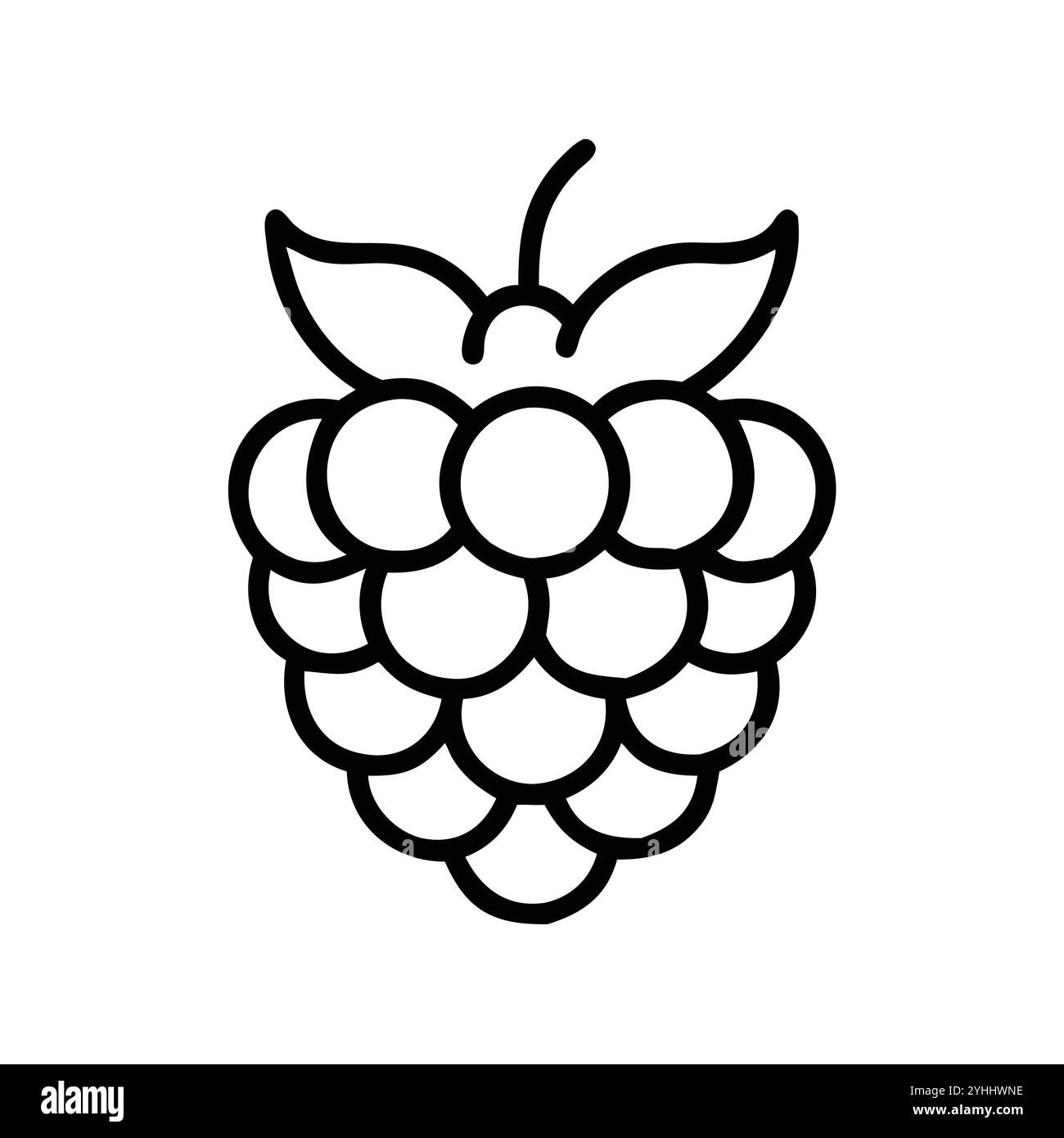simple vector illustration of a raspberry, in a simple and clean style ...