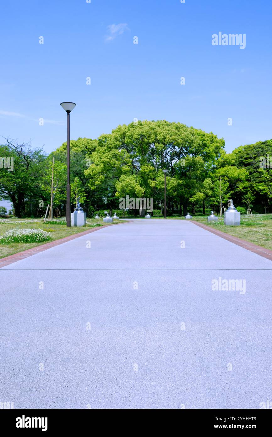 Tatsumi Forest Greenway Park promenade and camphor tree buds Stock Photo