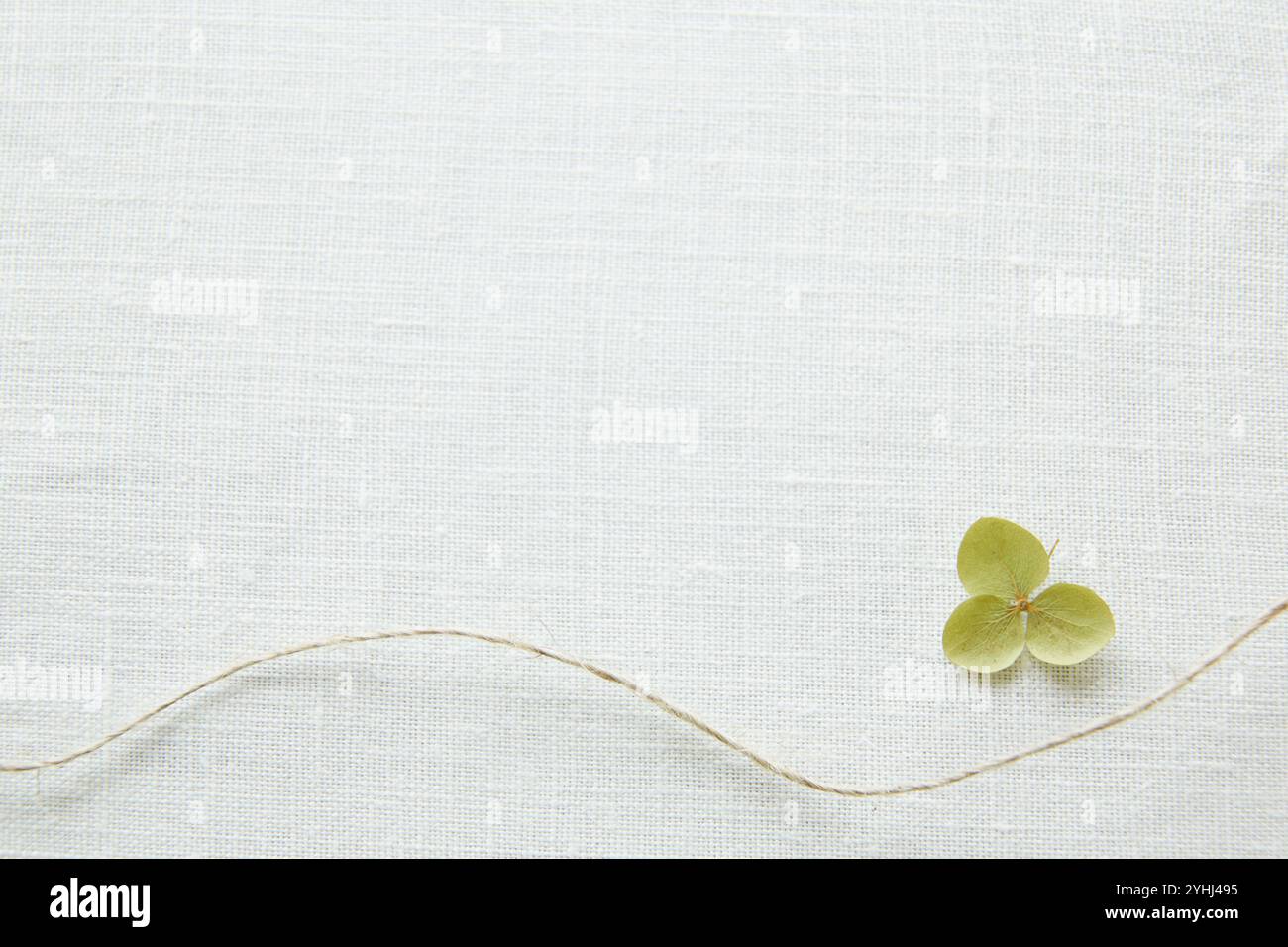 Linen and hydrangea Stock Photo