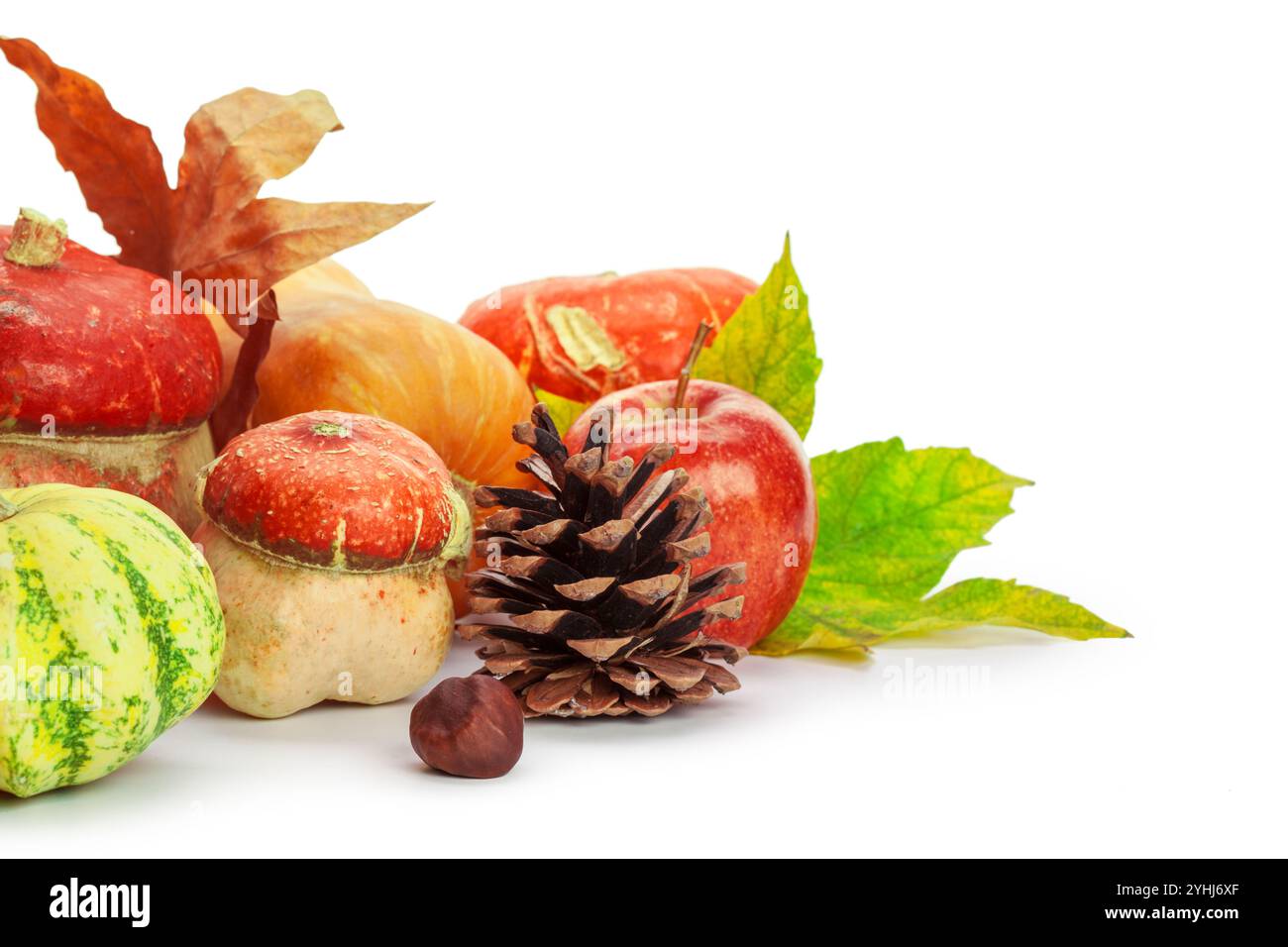 Autumn display with pumpkin and leaves isolated on white background ...