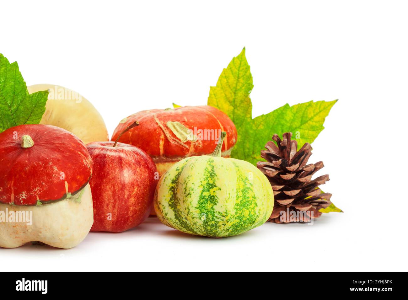 Autumn display with pumpkin and leaves isolated on white background ...