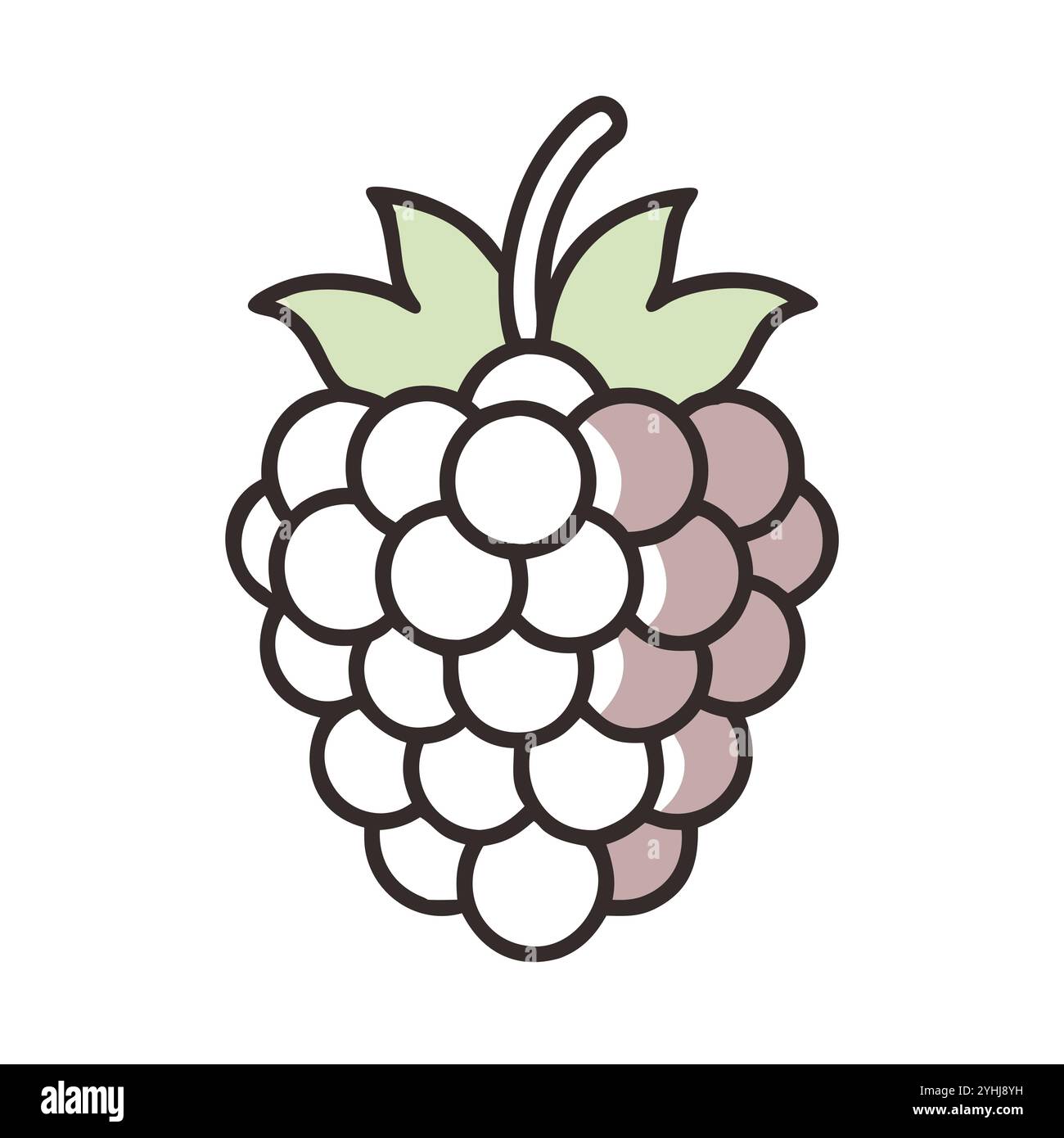 simple vector illustration of a raspberry, in a simple and clean style ...