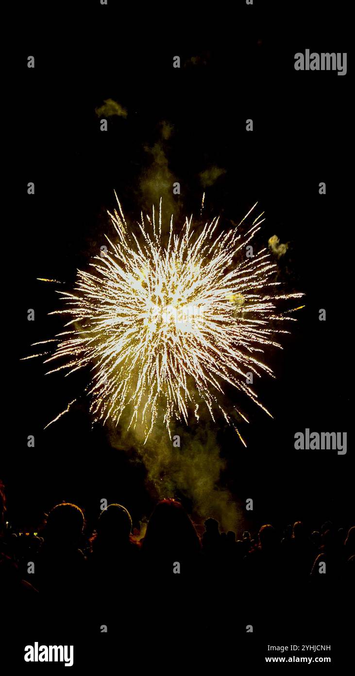 2024 Fireworks - Smartphone Captured Stock Image
