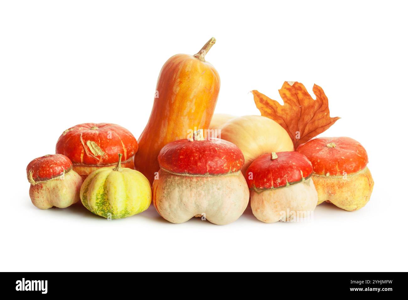 Autumn display with pumpkin and leaves isolated on white background ...