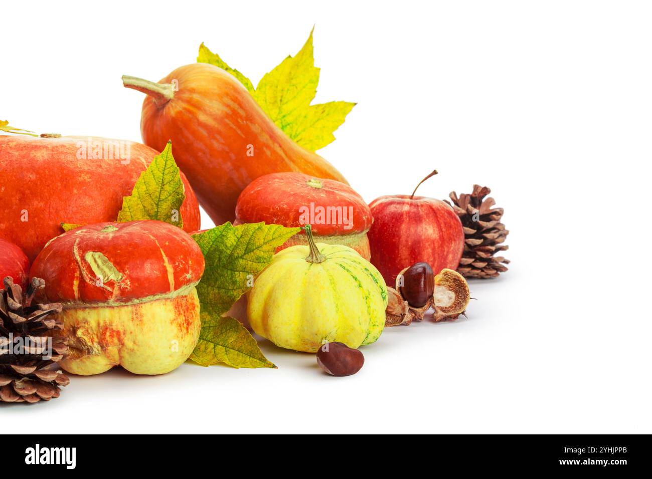 Autumn display with pumpkin and leaves isolated on white background ...