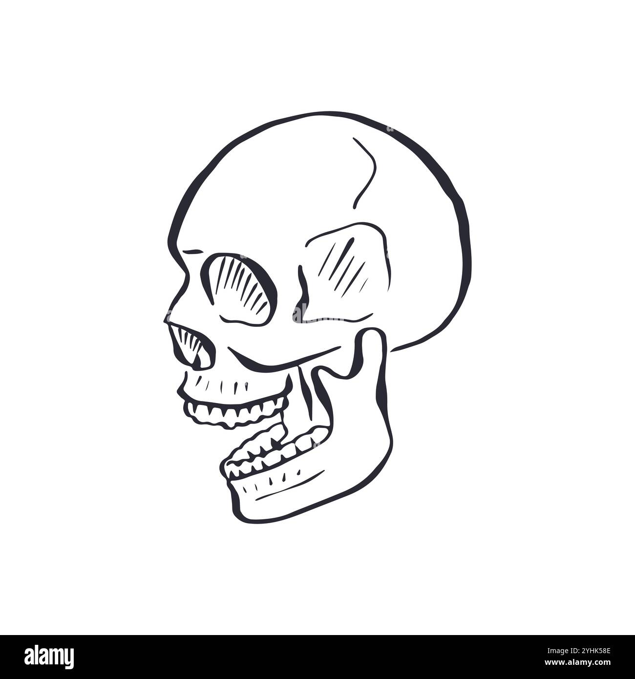 Hand drawn black and white sketchy human skull isolated on white ...