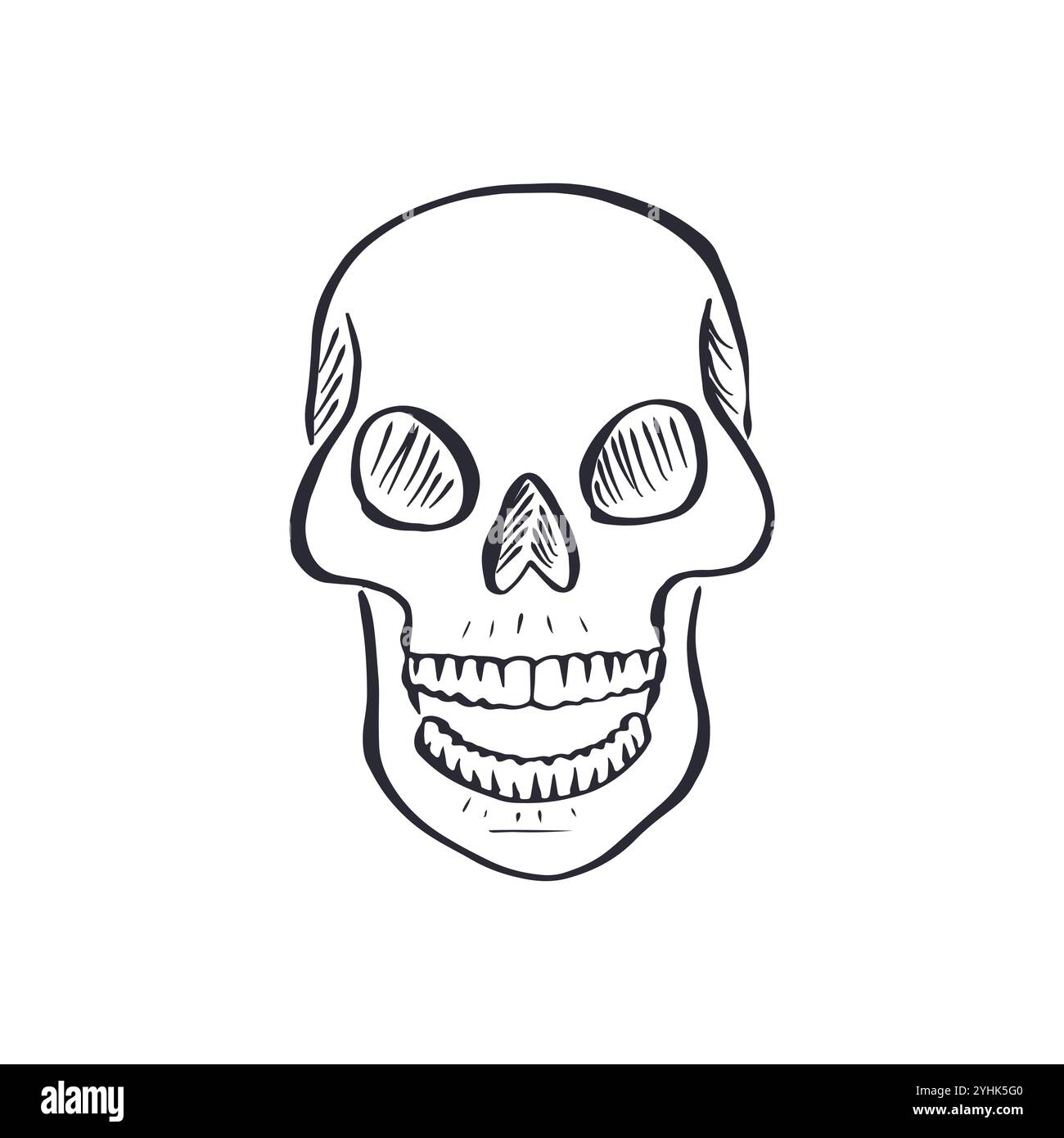 Hand drawn black and white sketchy human skull isolated on white ...