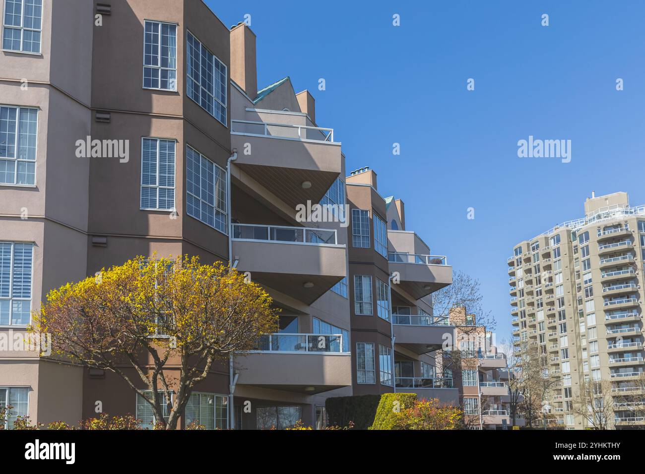 Spacious modern one bedroom apartment - apts/housing for rent ...