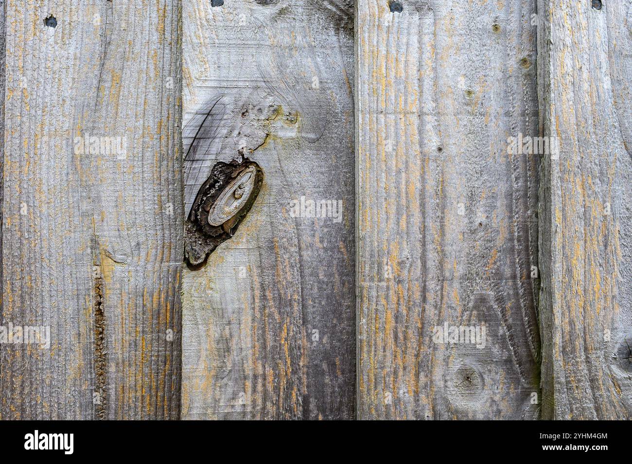 Wooden fence panel background Stock Photo