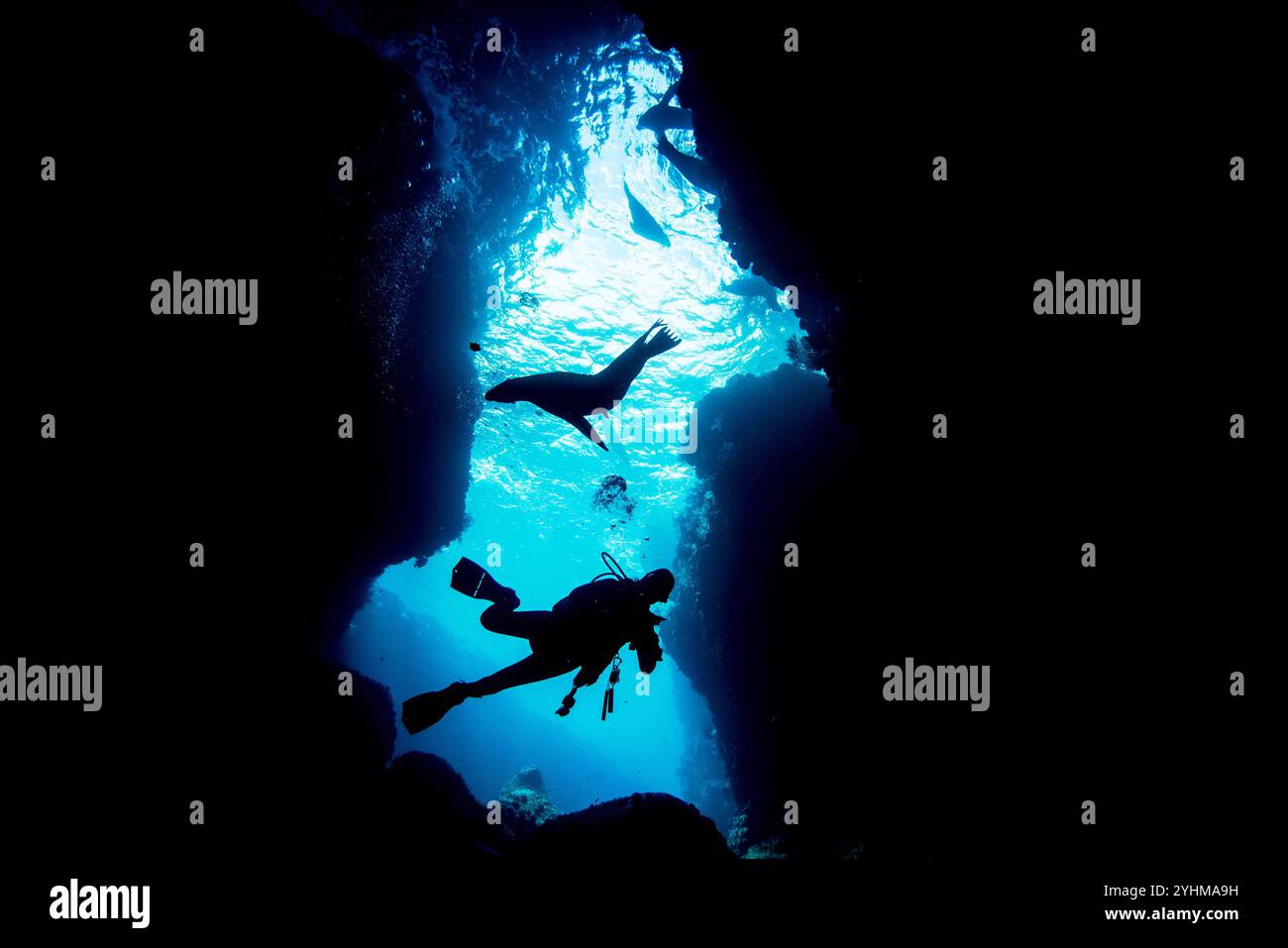 Silhouette diver hi-res stock photography and images - Alamy