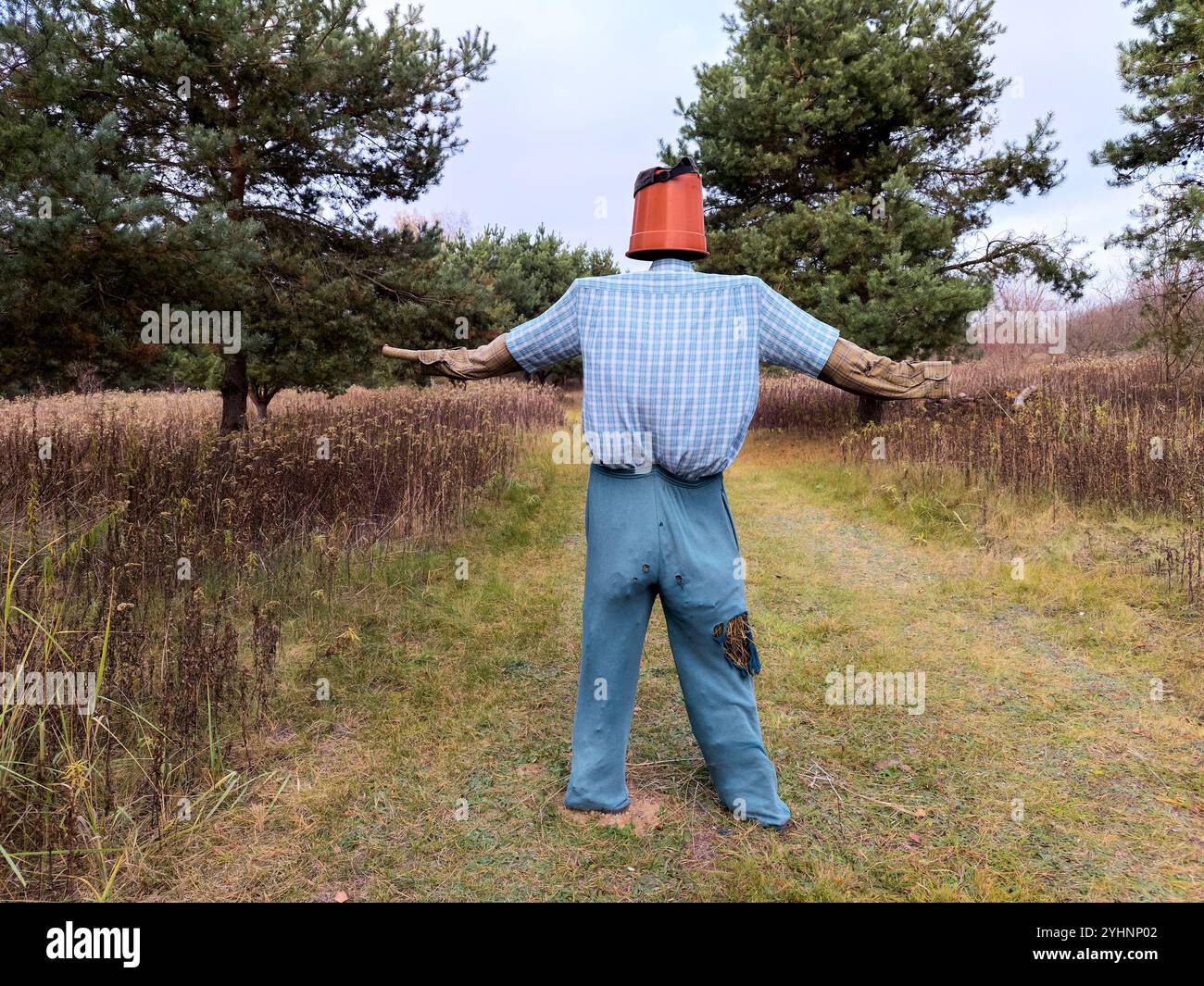 Rear view of a homemade scarecrow with a plastic pot for a head, wearing a plaid shirt, patched blue pants, and outstretched arms in a dirt road. - Smartphone Captured Stock Image