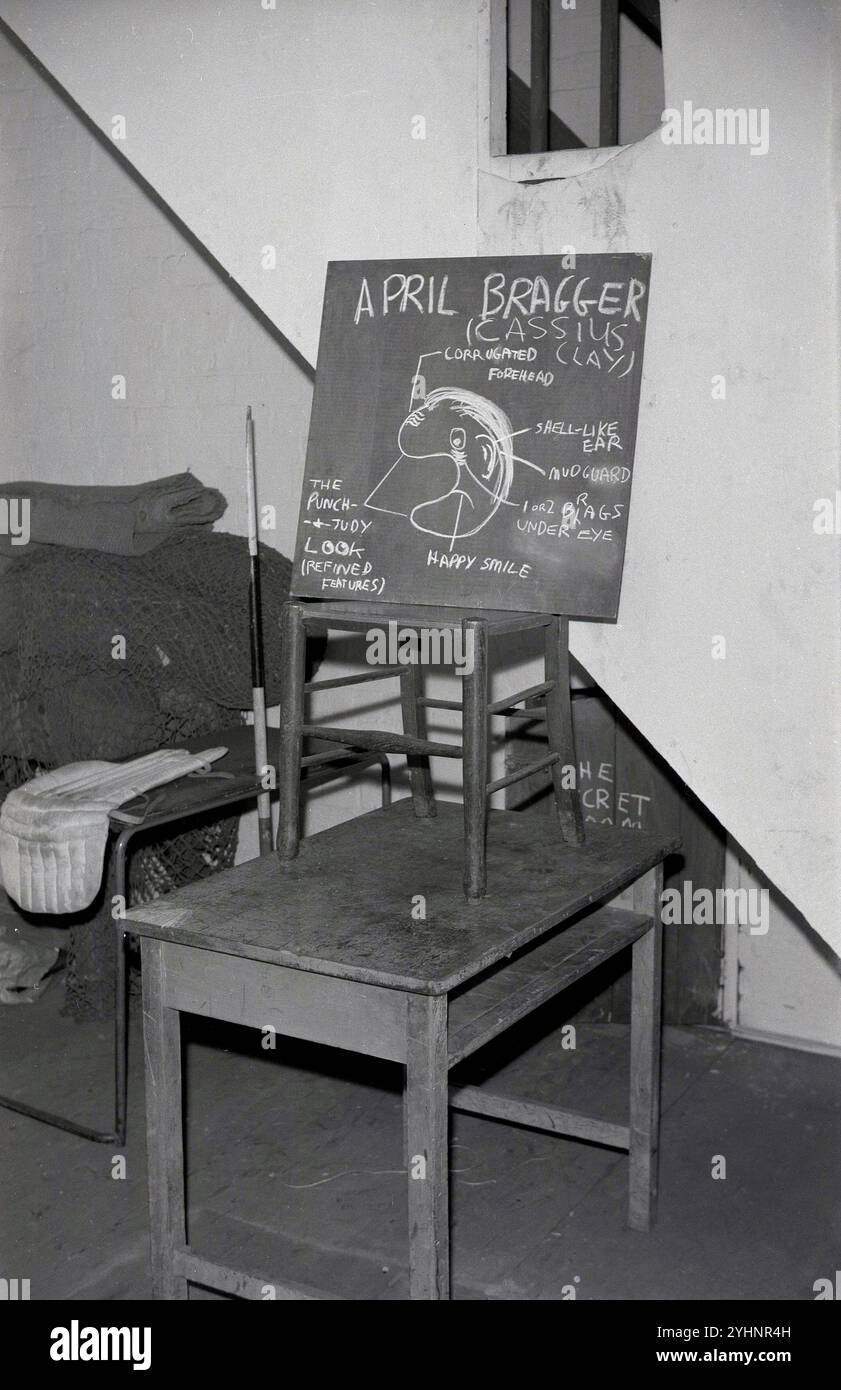 1960, historical, inside a school gym changing room, cricket net and ...