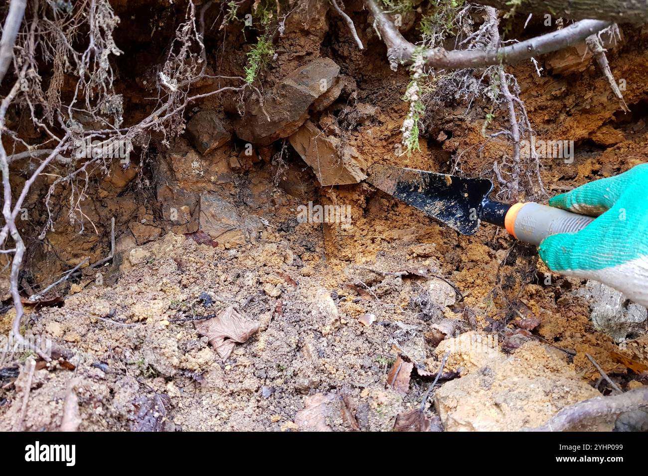 Digging through a clay layer with rocks, searching for minerals and fossils Stock Photo