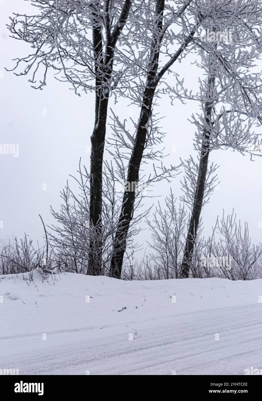 Empty frozen asphalt road hi-res stock photography and images - Alamy