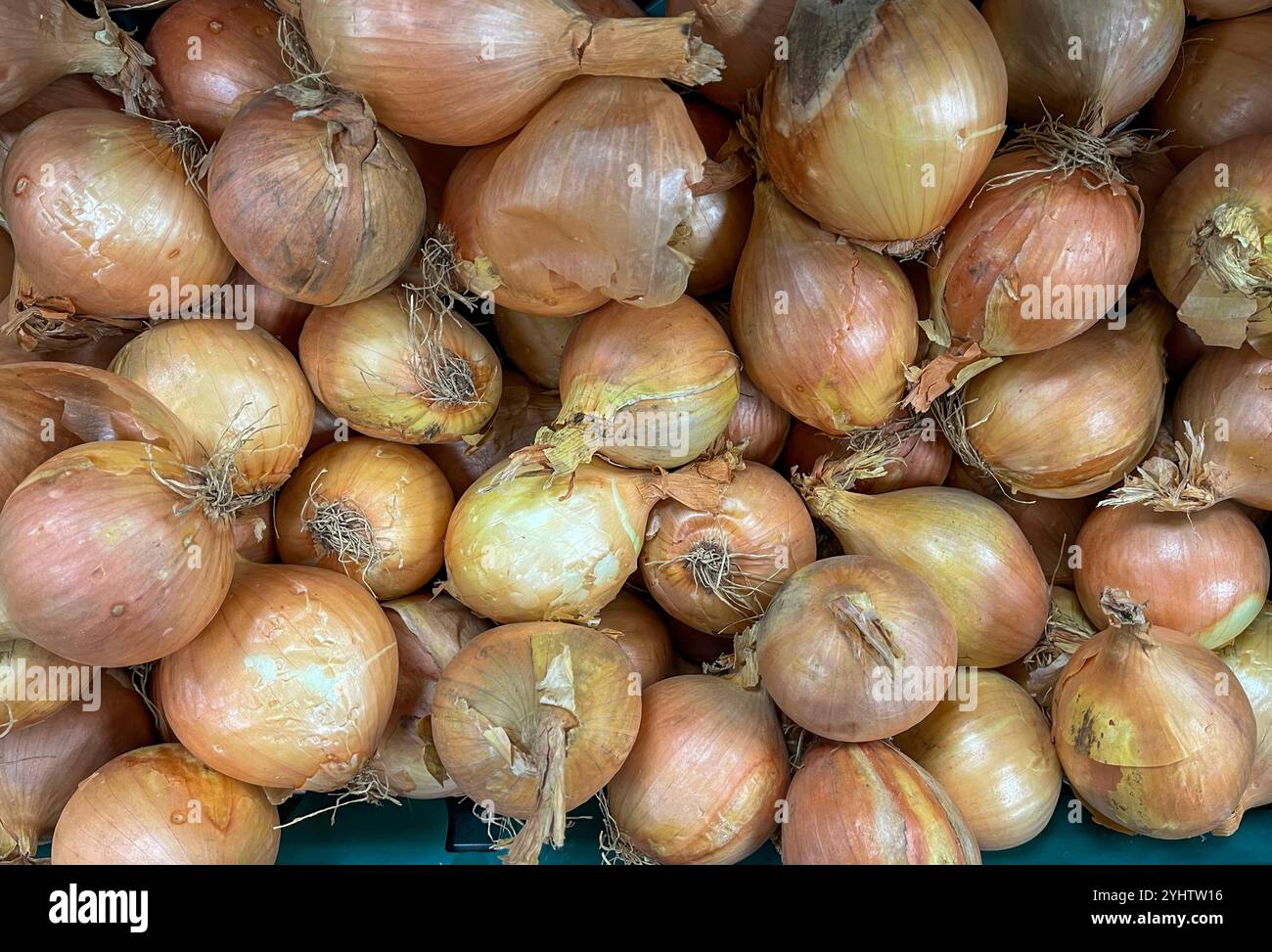 Onions on sale at a Supermarket - Smartphone Captured Stock Image