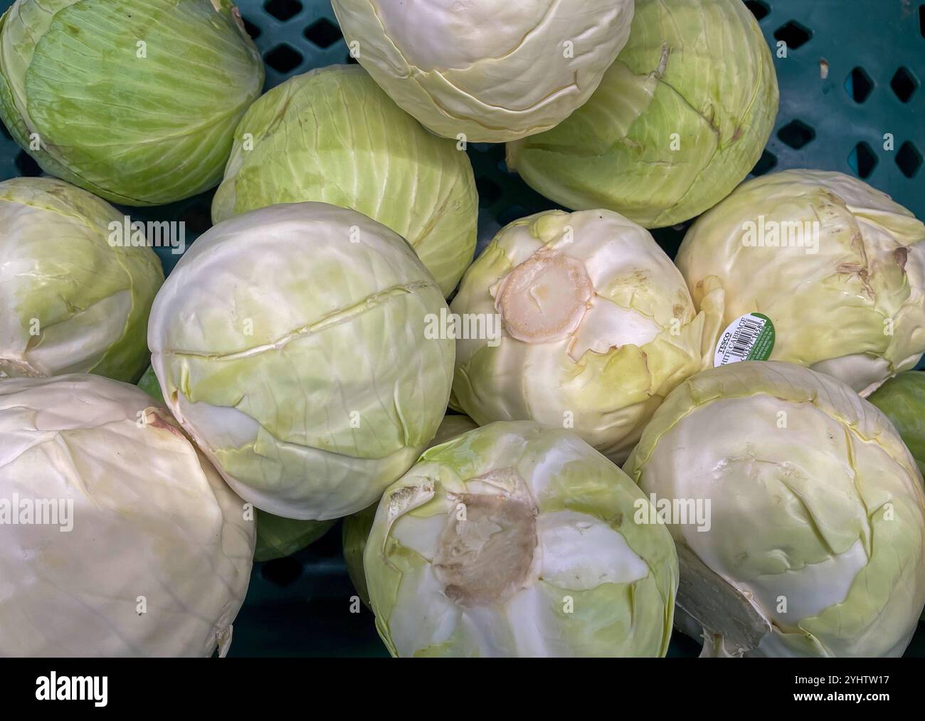 Cabbages on sale at a Supermarket - Smartphone Captured Stock Image