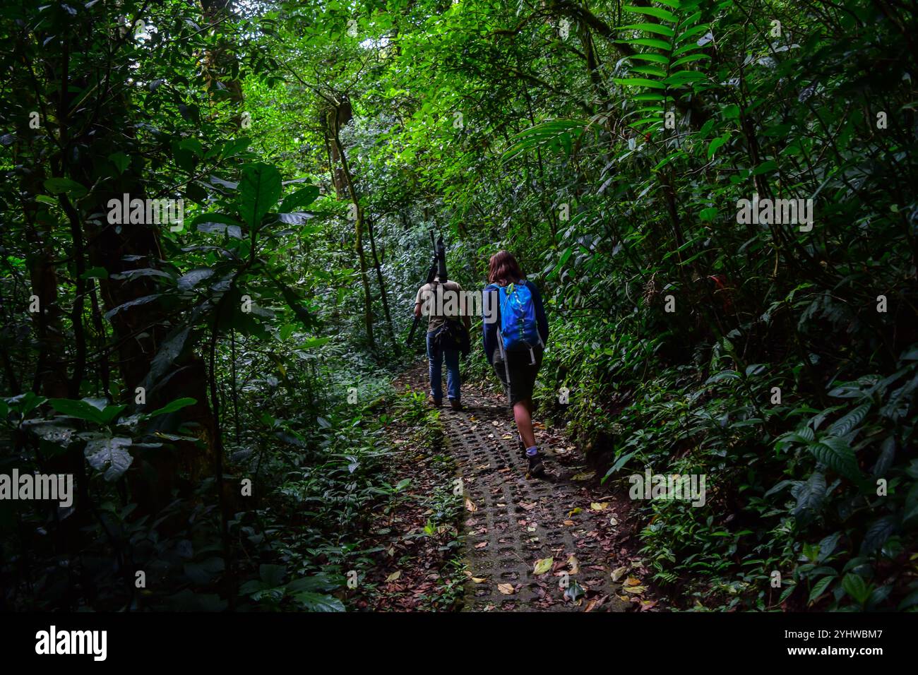 George of the Cloud Forest, guide and specialist, guides a young woman through Monterey cloud forest during fauna tour, Costa Rica Stock Photo