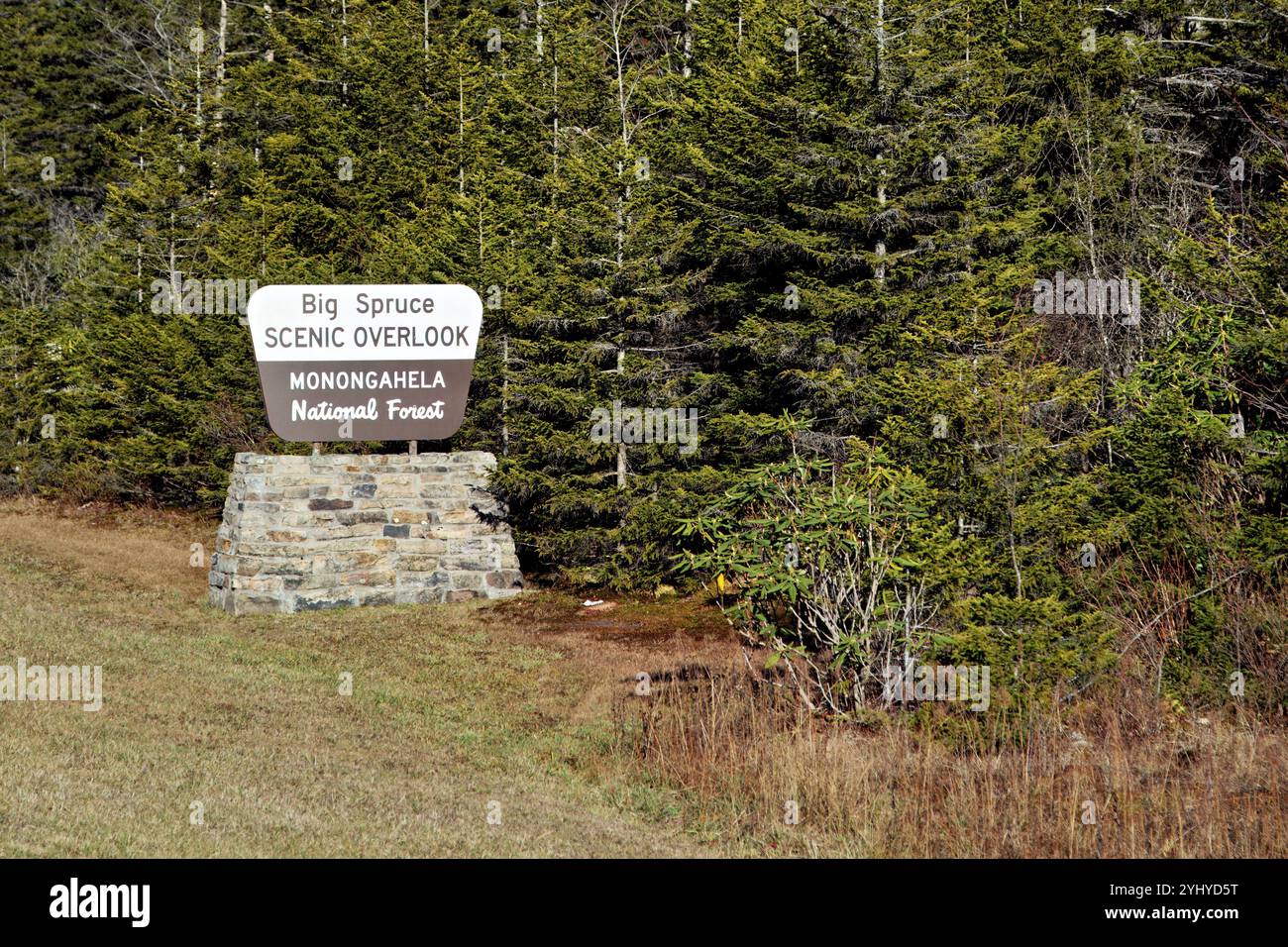 Big Spruce Scenic Overlook sign at the Monongahela National Forest, surrounded by evergreen trees and natural greenery. Stock Photo