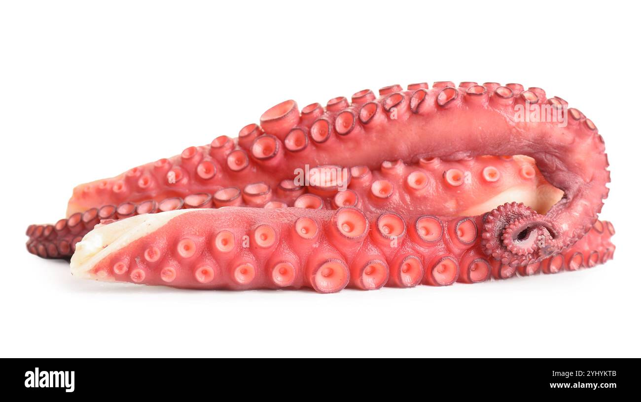Three raw octopus tentacles isolated on white Stock Photo - Alamy