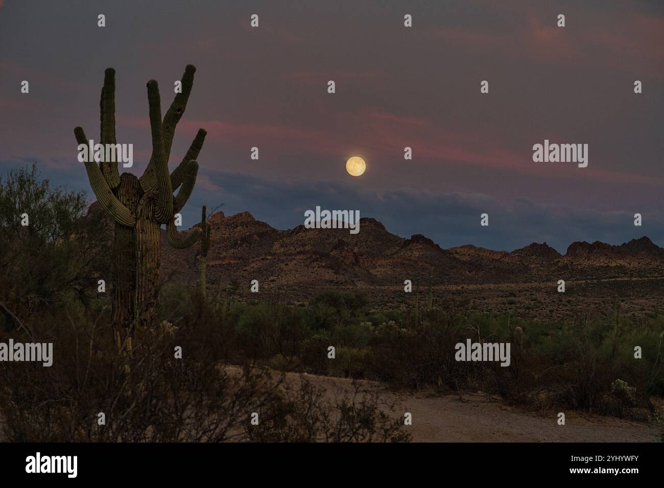 Sonoran desert sunset moon hi-res stock photography and images - Alamy