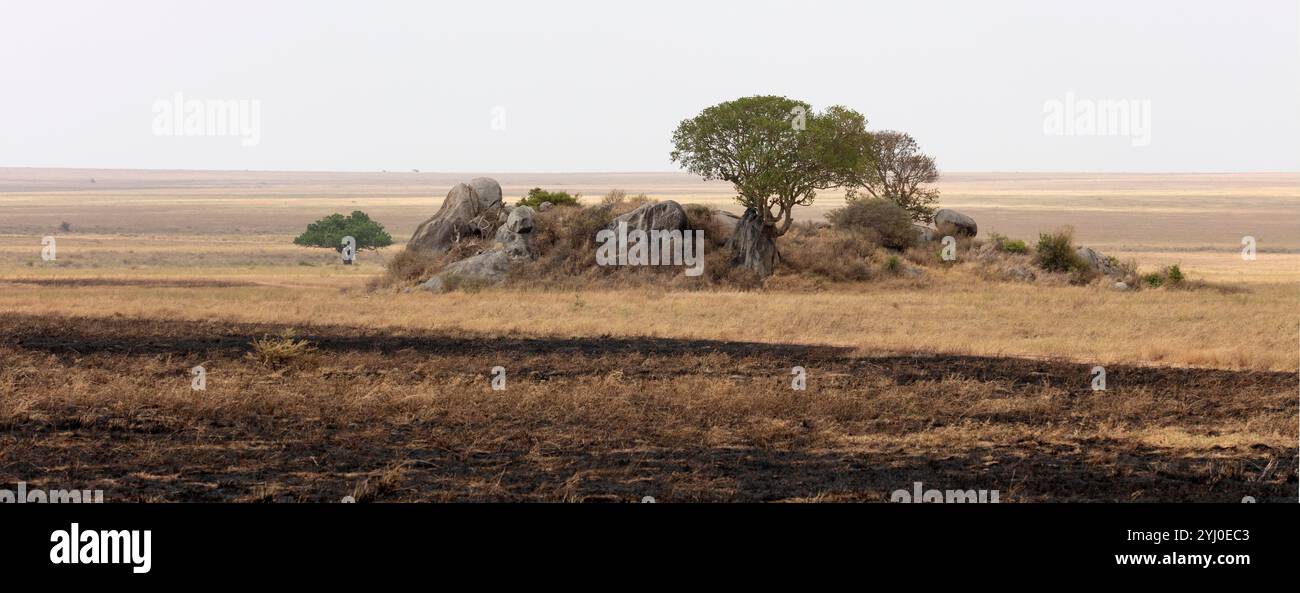 Kopje rock outcrop and scorched earth from wildfire in Africa Stock ...