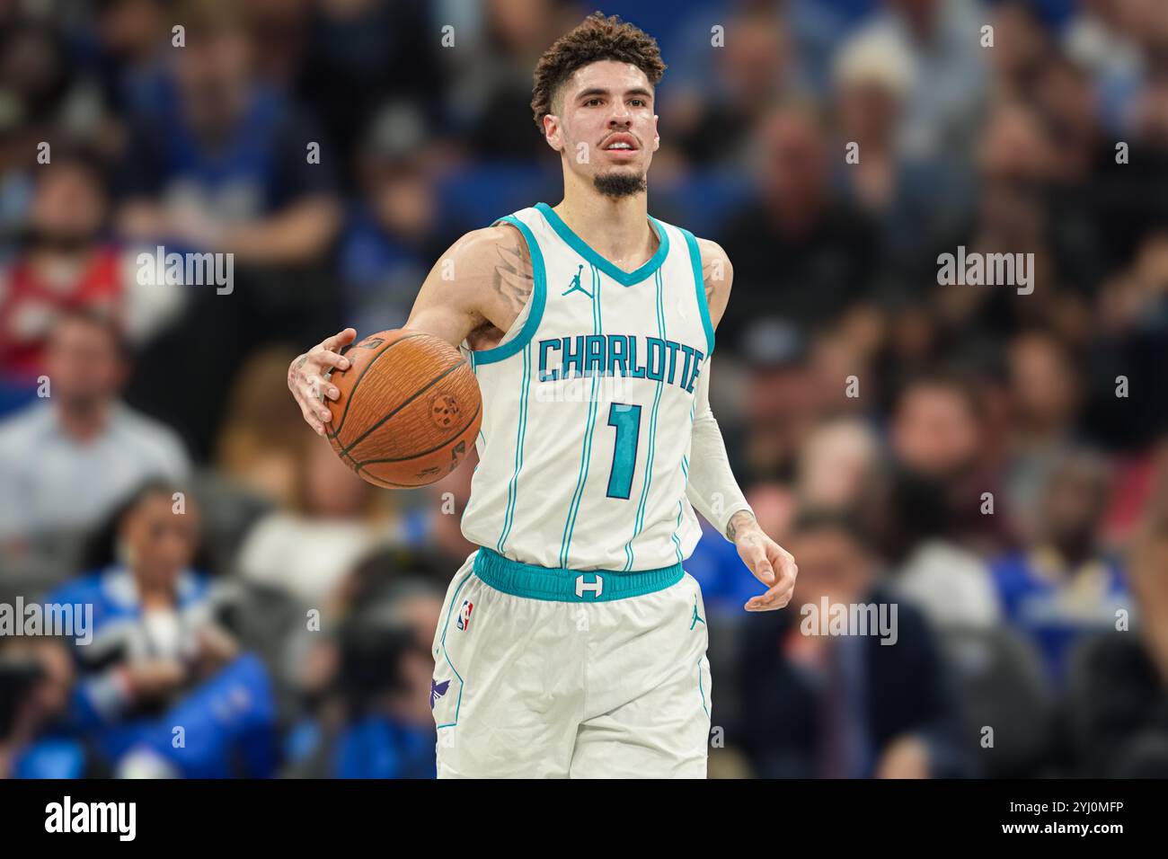 Charlotte hornets live new arrivals