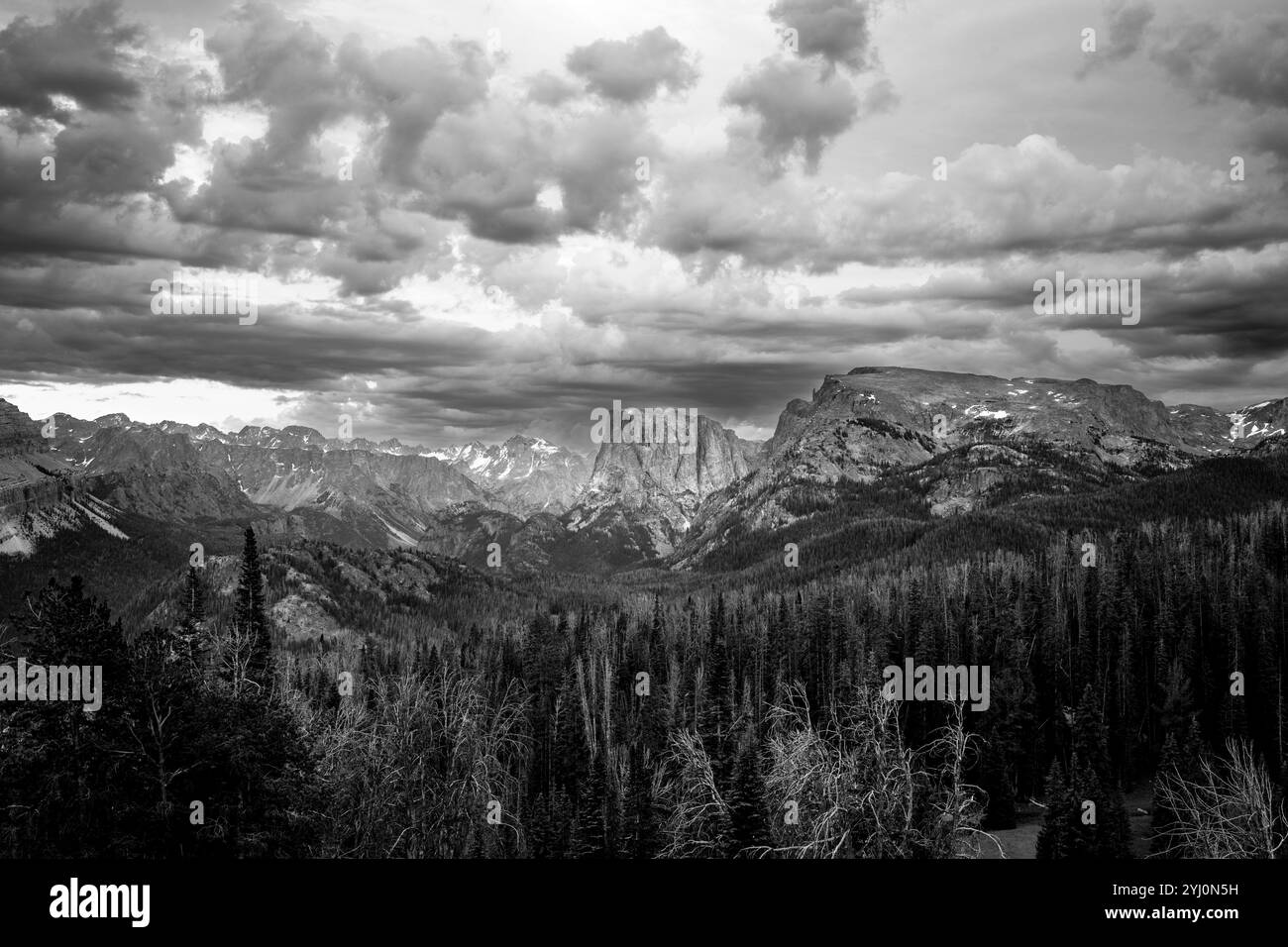 WY05413-00-BW........WYOMING - Squaretop Mountain and the Wind River Range viewed from the Twin Lakes Trail, Bridger Wilderness, Bridger National Fore Stock Photo