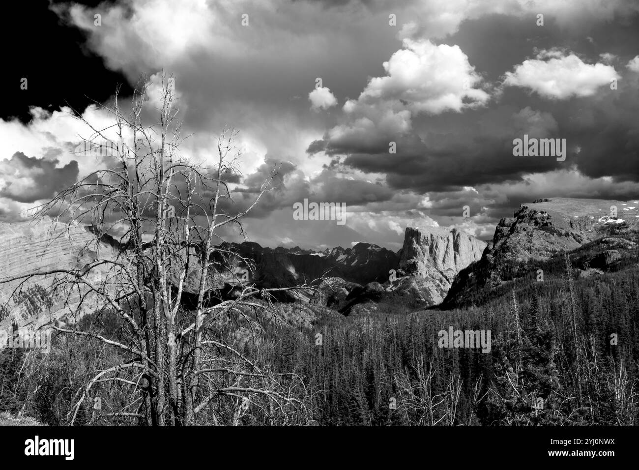 WY05488-00-BW....WYOMING - The Wind River Range from the Twin lakes Trail in the Bridger Wilderness, Bridger National Forest. MR#S1 Stock Photo