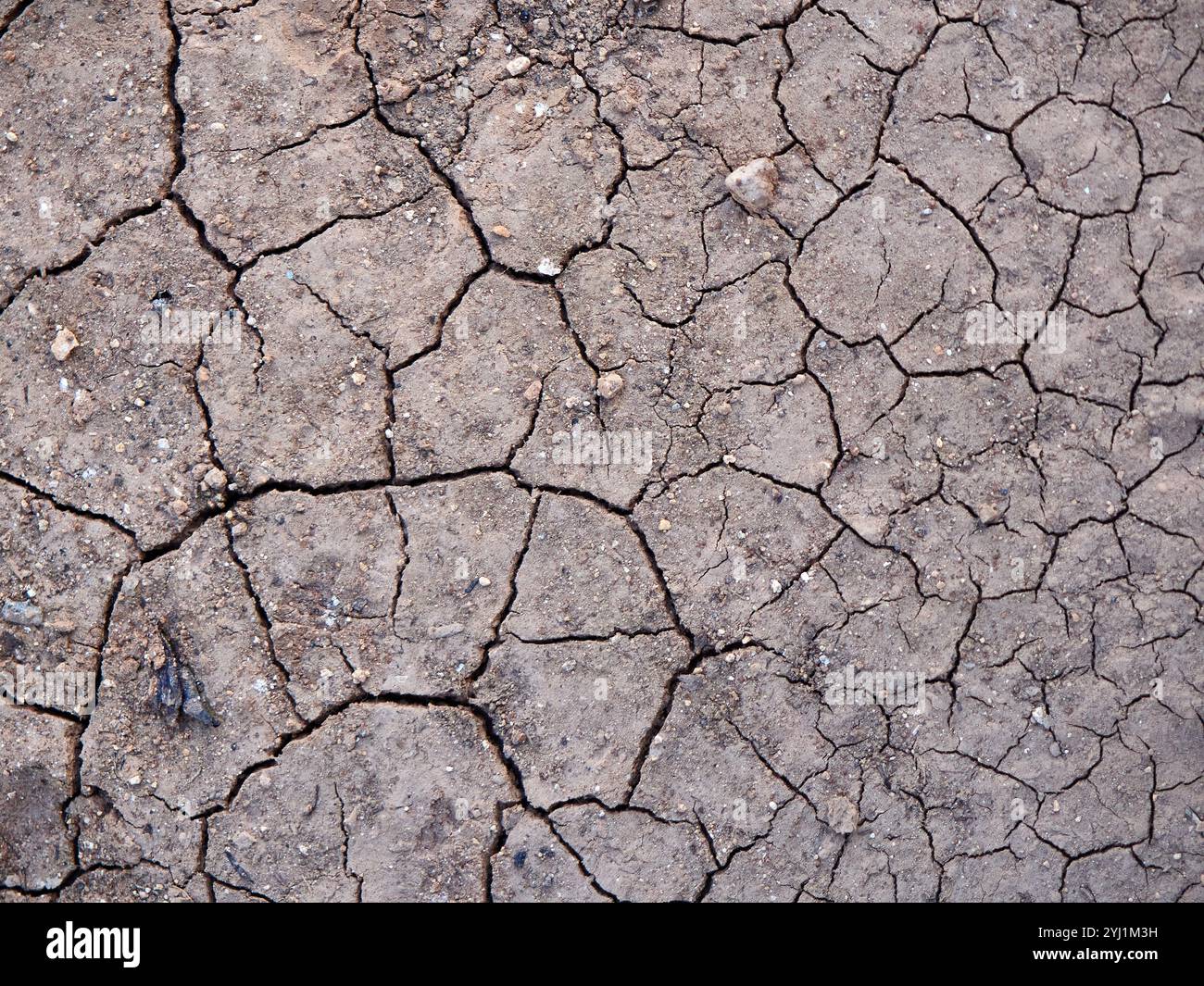 Dry and cracked earth background. Global warming, climate change ...