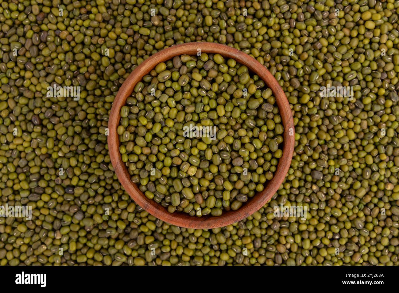 Mung bean seed hi-res stock photography and images - Alamy