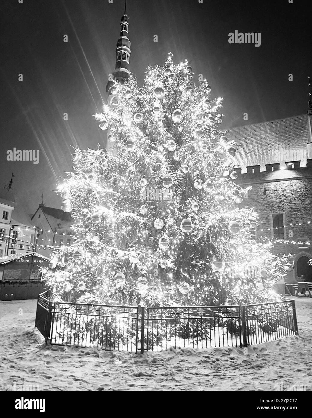Christmas tree in Tallinn Old Town - Smartphone Captured Stock Image