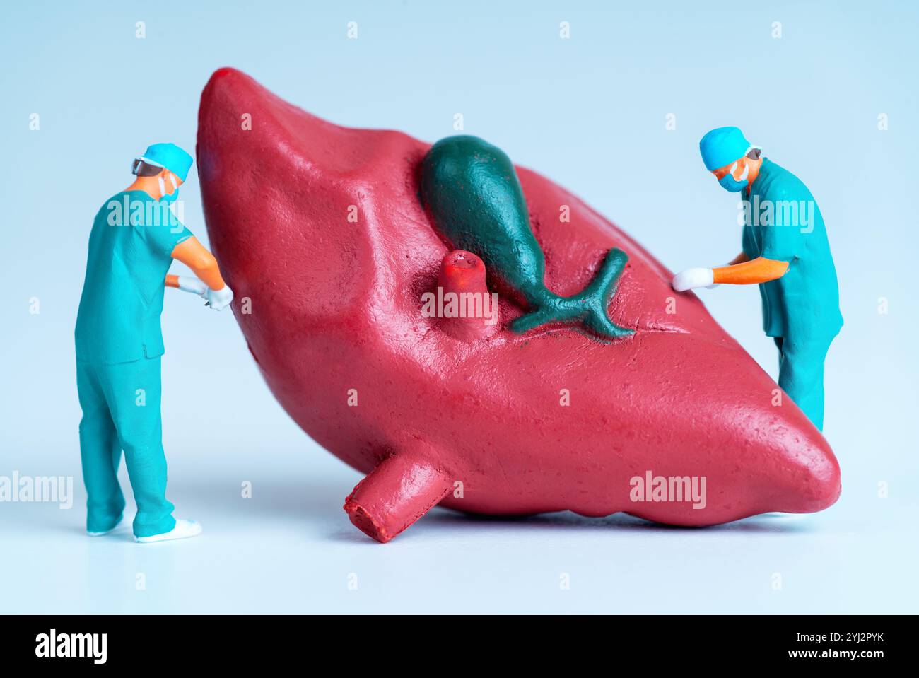 Operating Livers Doctors examining liver human hi-res stock photography and images - Alamy