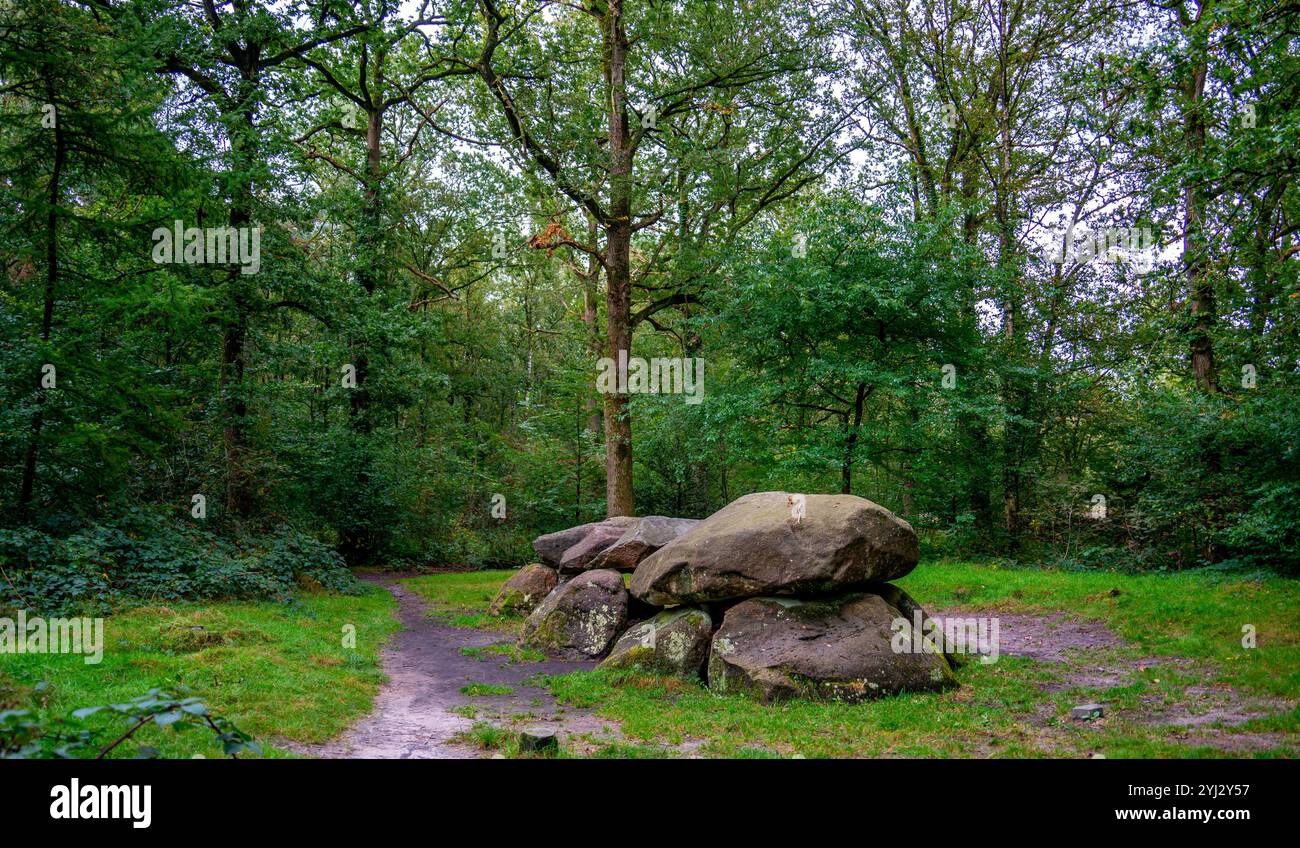 Neolithic monument in the forest in Drenthe, Netherlands Stock Photo