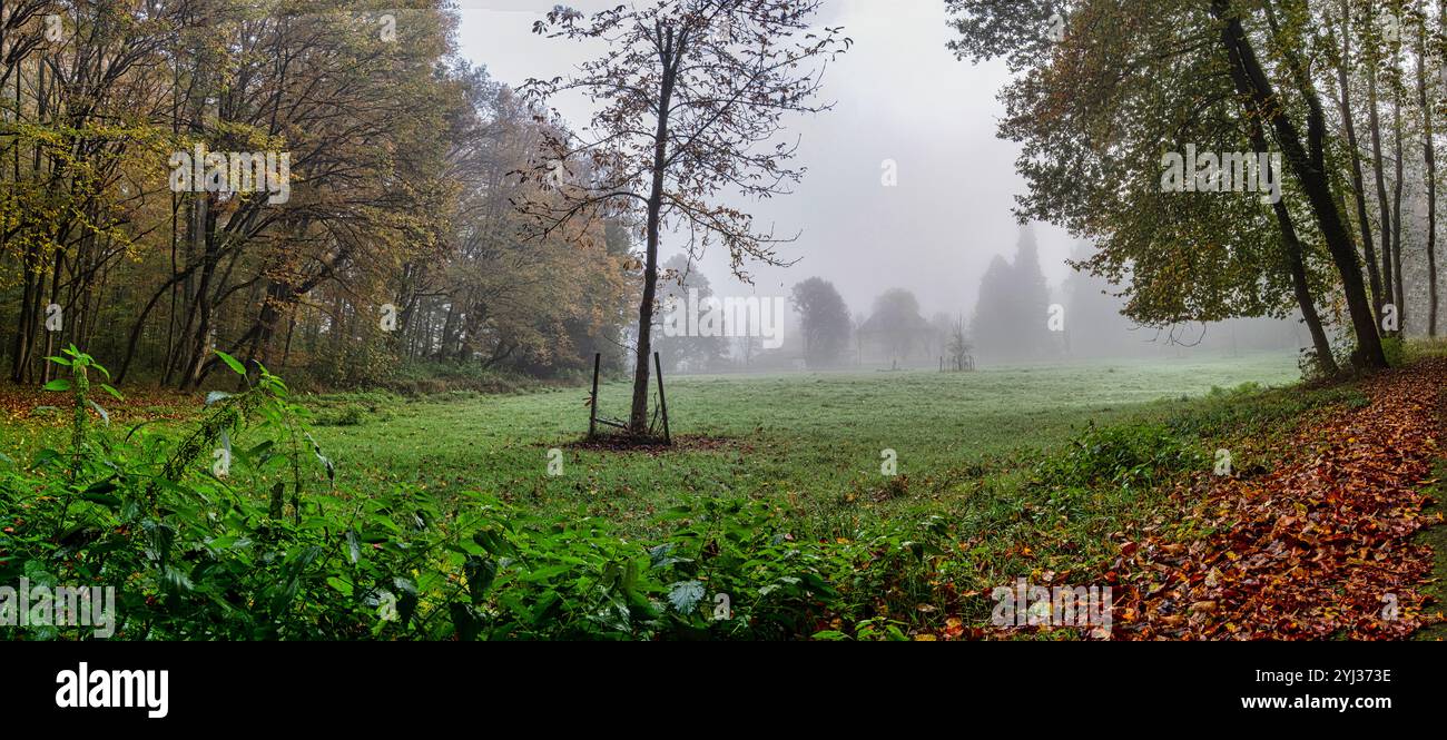 Forsthaus im Nebel Stock Photo