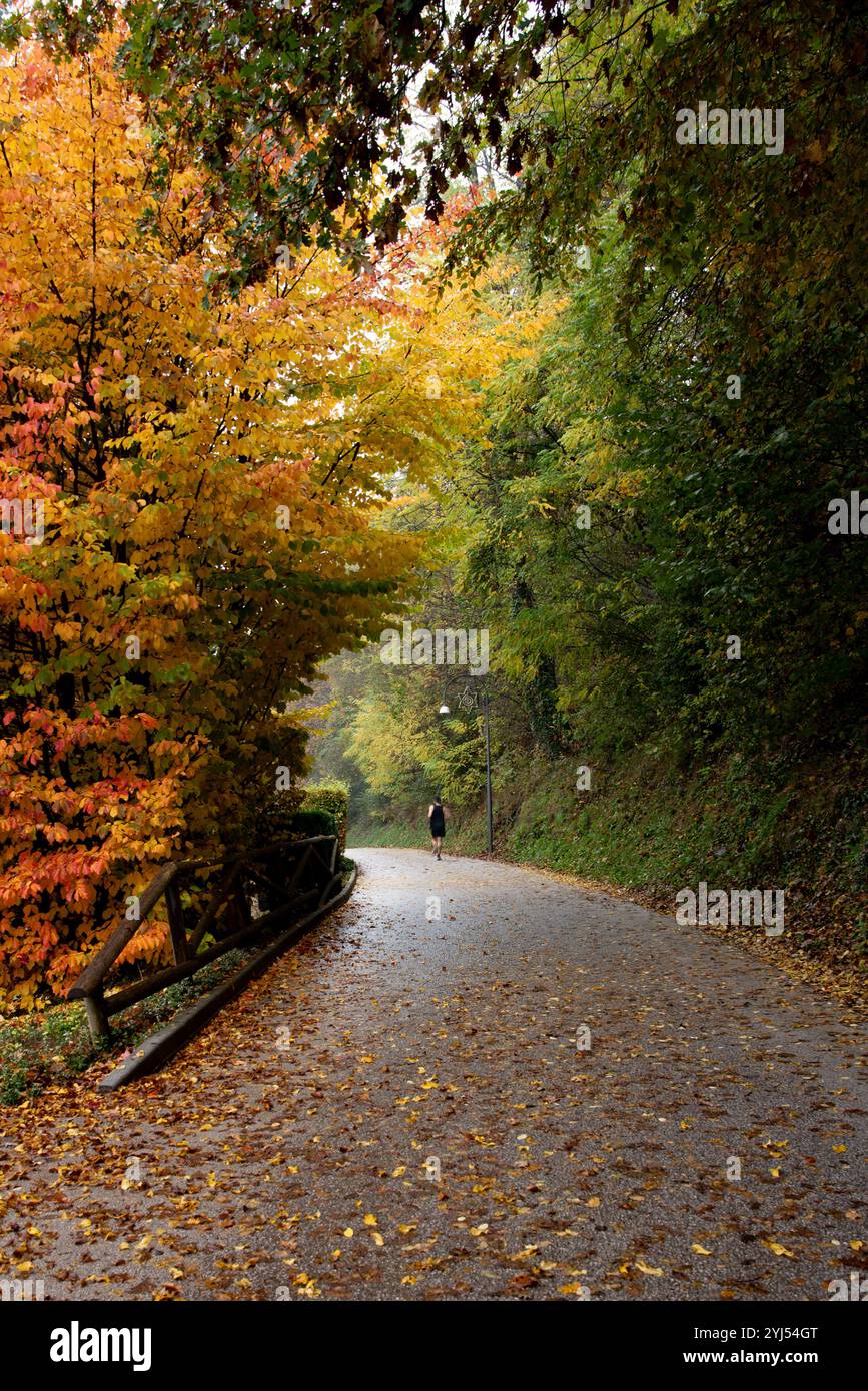 Running and training colorful hi-res stock photography and images - Alamy