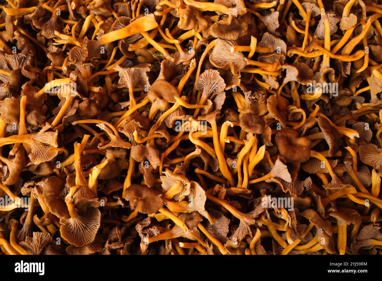 Big funnel hi-res stock photography and images - Alamy